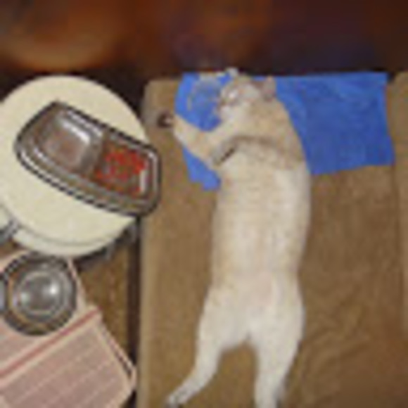 Meet your Posher, Ольга - Picture 1 of 1